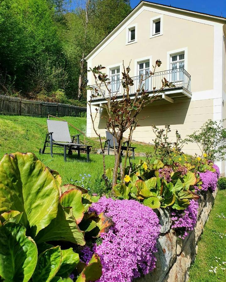 Hotel Garni Dekorahaus Bad Schandau Dış mekan fotoğraf