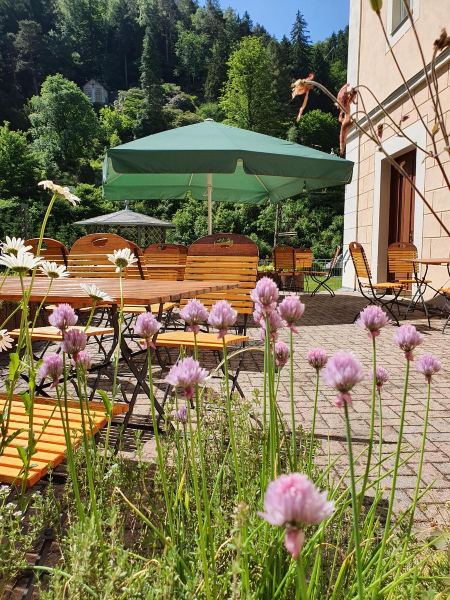 Hotel Garni Dekorahaus Bad Schandau Dış mekan fotoğraf