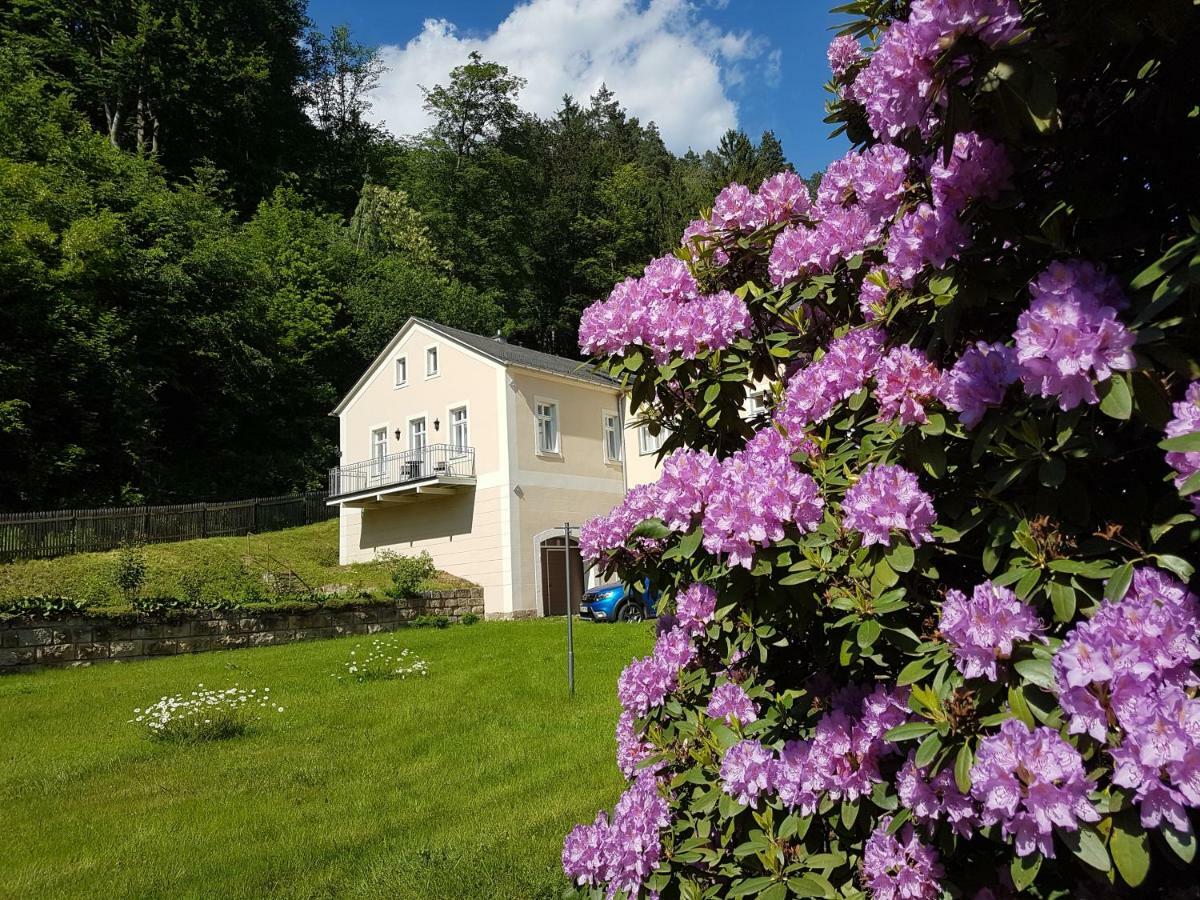 Hotel Garni Dekorahaus Bad Schandau Dış mekan fotoğraf